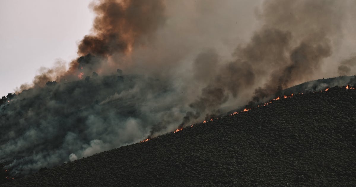 Intense forest fire spreading across a mountainside with thick smoke billowing into the sky.