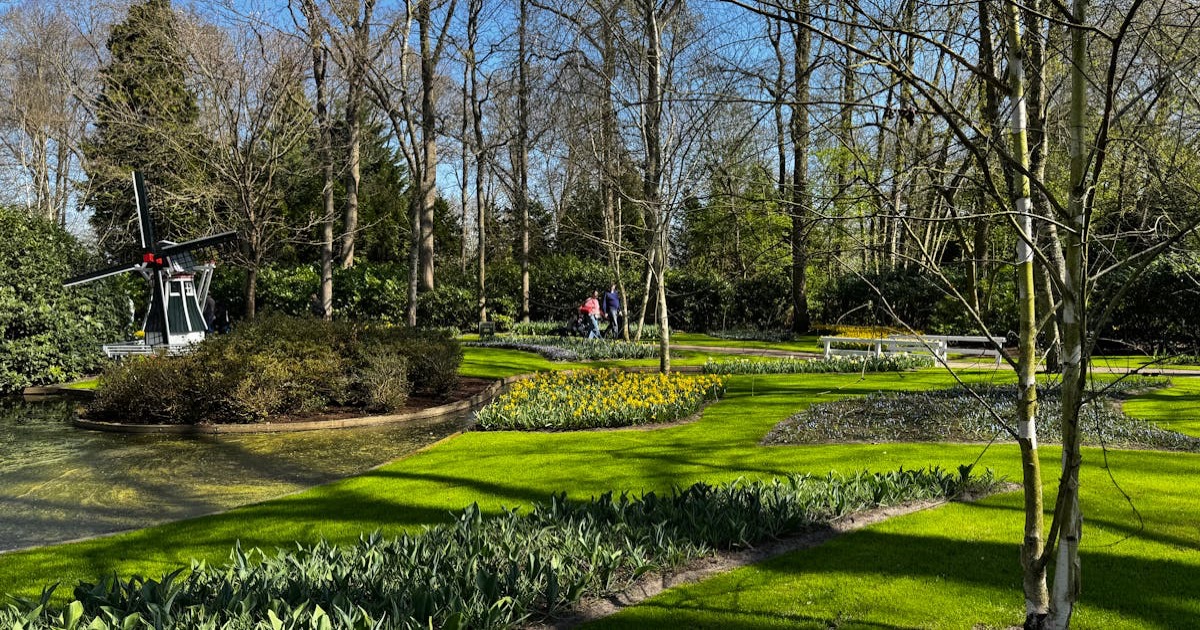 Explore a tranquil garden in the Netherlands featuring vibrant floral beds and a miniature windmill in springtime.
